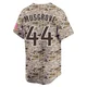 San Diego Padres ＃44 Joe Musgrove Men's Camo Limited 2nd Alternate Jersey