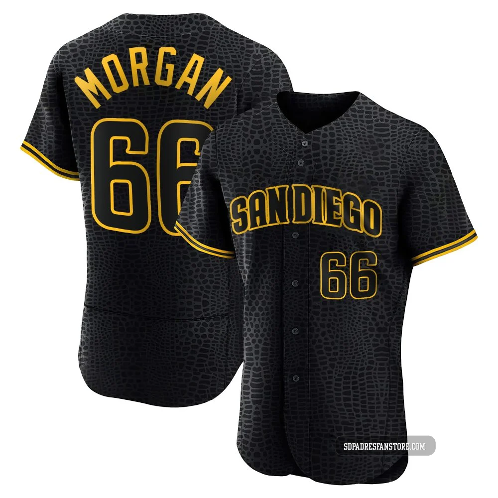 San Diego Padres ＃66 David Morgan Men's Black Authentic Snake Skin City Jersey